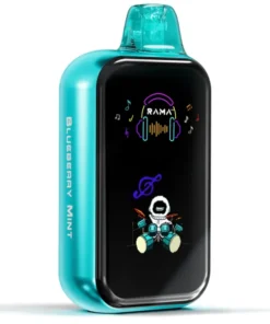 RAMA 16000 Züge Einweg Vape Blueberry Mint