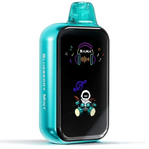 RAMA 16000 Züge Einweg Vape Blueberry Mint