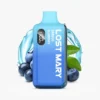 LOST MARY BM6000 Blueberry wiederaufladbare Vapes - 6000 Züge