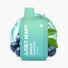LOST MARY BM600s Blueberry Einweg Vape