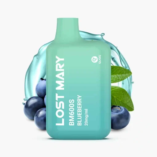 LOST MARY BM600s Blueberry Einweg Vape