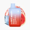 LOST MARY BM600s Watermelon Ice Einweg Vape