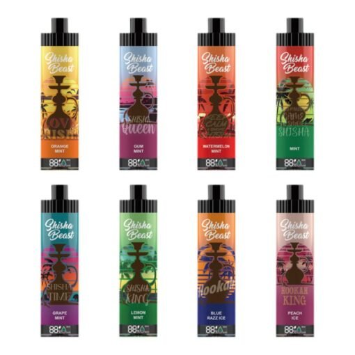 RandM Shisha Beast 20K Einweg Vape 26 ml